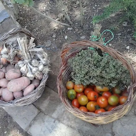 Farm stay I Tre Tigli - *